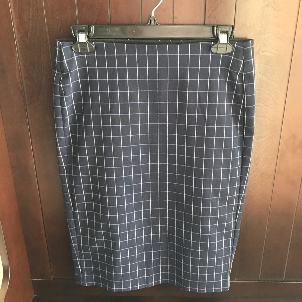 NWOT Blue Stretchy Skirt